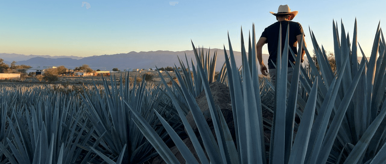 Sustainability at Tecuilan Tequila